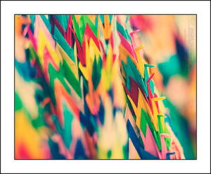 5061416867_c5d9b082f6