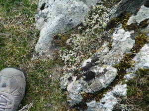 P1000117