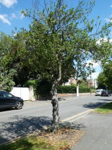 P1000755